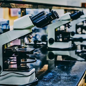 IIT Delhi is offering MSc in biological sciences courses to students